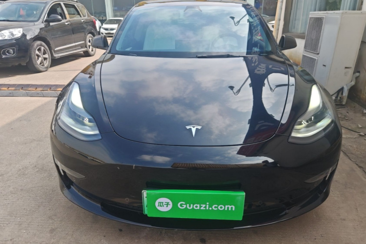 Tesla Model 3 2021 #3 Tesla Model 3 2021 car image #3