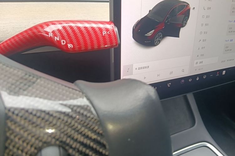 Tesla Model Y 2021 #18 Tesla Model Y 2021 immagine di auto #18