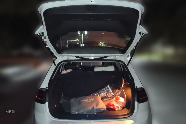 Volkswagen Golf 2017 car image #21