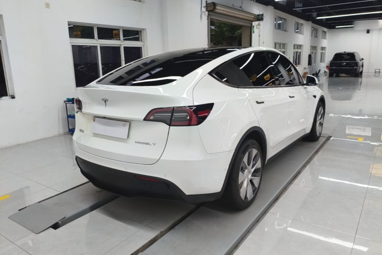 Tesla Model Y 2023 car image #7