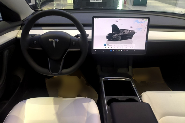Tesla Model 3 2022 car image #10