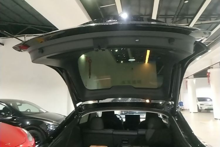 Tesla Model Y 2021 #19 Tesla Model Y 2021 car image #19