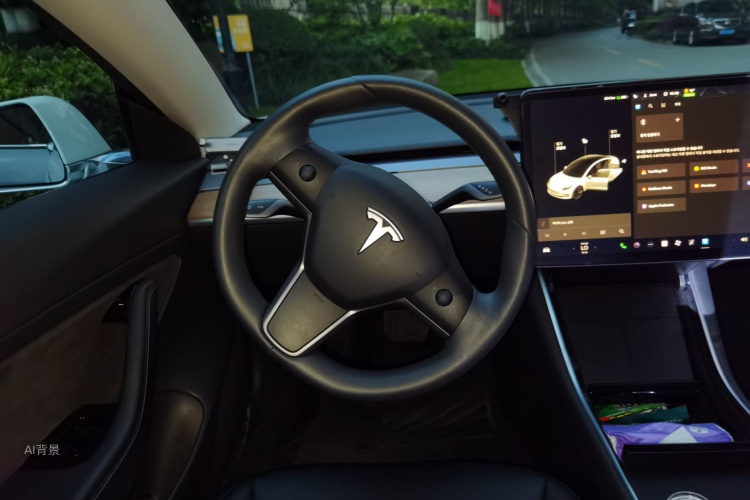 Tesla Model 3 2020 #12 Tesla Model 3 2020 car image #12