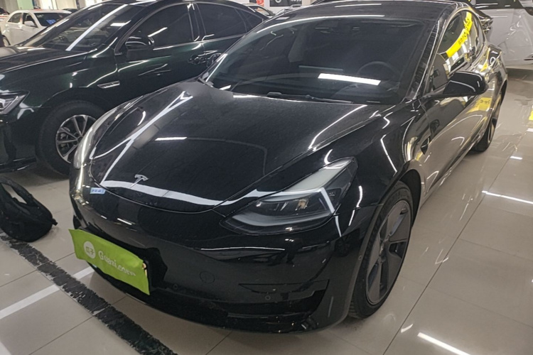 Tesla Model 3 2021 #2 Tesla Model 3 2021 immagine di auto #2