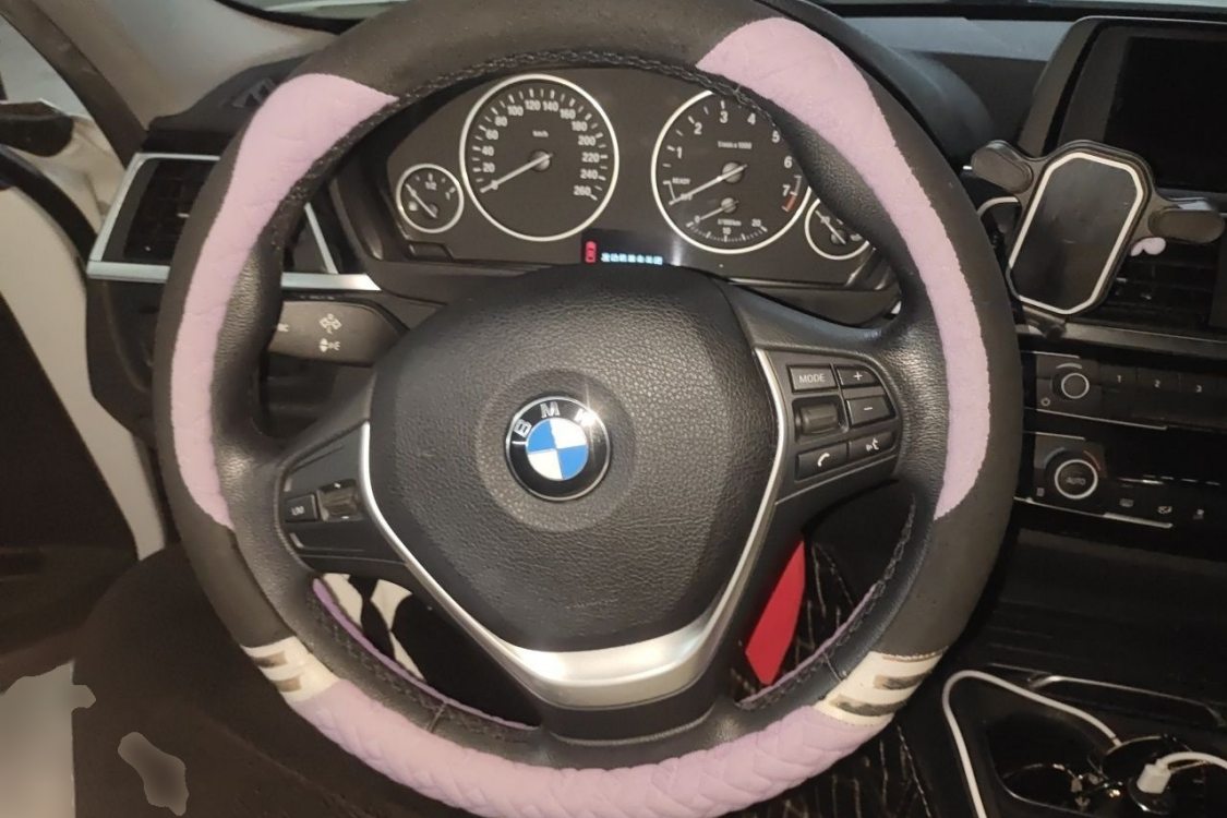 BMW 3 Series 2017 immagine di auto #22