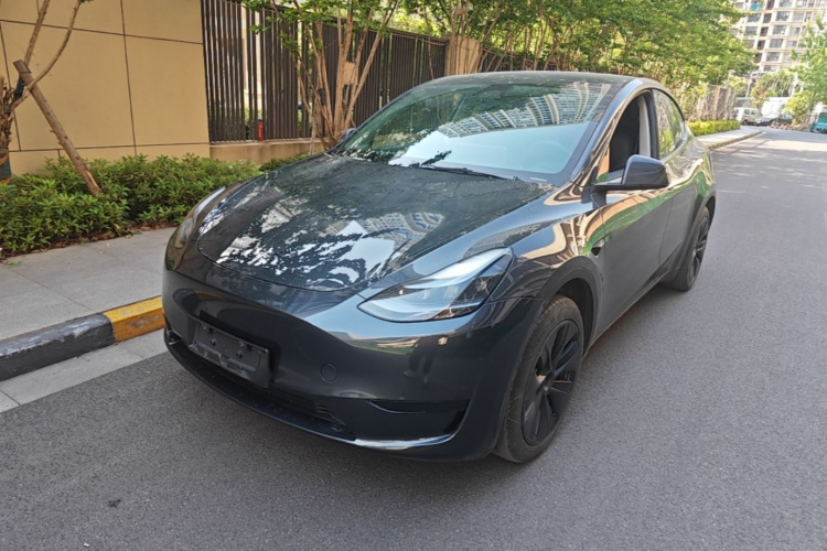 Tesla Model Y 2024 car image #2