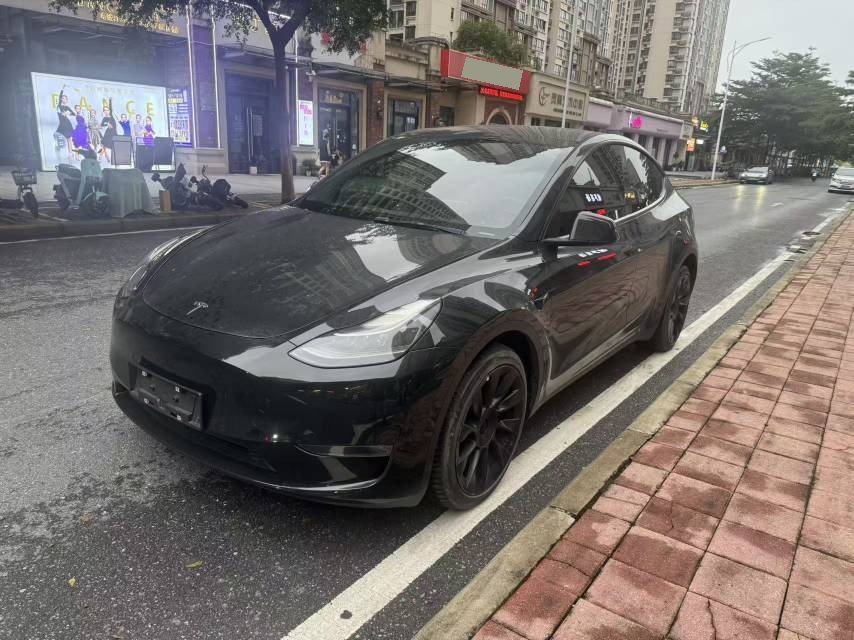 Tesla Model Y 2022 car image 