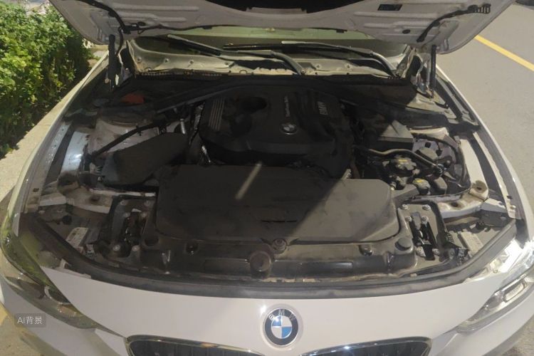 BMW 3 Series 2018 car image #22