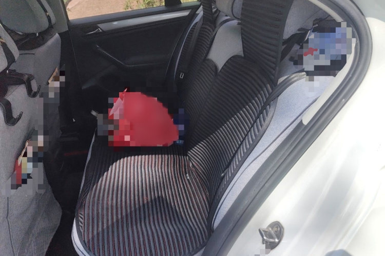 Volkswagen Bora 2020 car image #14