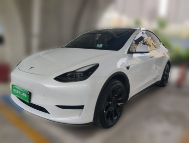 Tesla Model Y 2024 Tesla Model Y 2024 car image