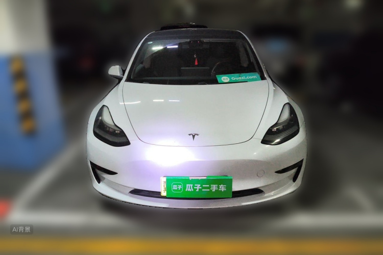 Tesla Model 3 2020 car image #3