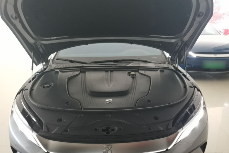 BYD Han 2022 #22 BYD Han 2022 immagine di auto #22