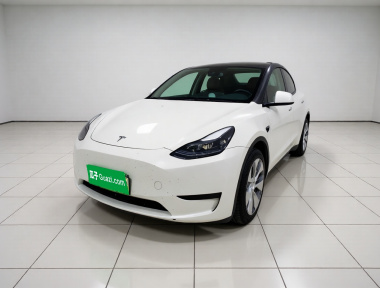 Tesla Model Y 2022 car image 