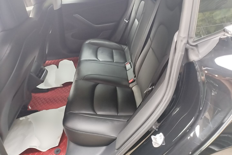 Tesla Model 3 2020 #17 Tesla Model 3 2020 car image #17
