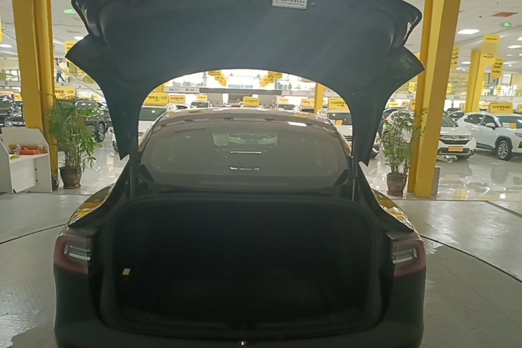 Tesla Model 3 2021 #21 Tesla Model 3 2021 car image #21