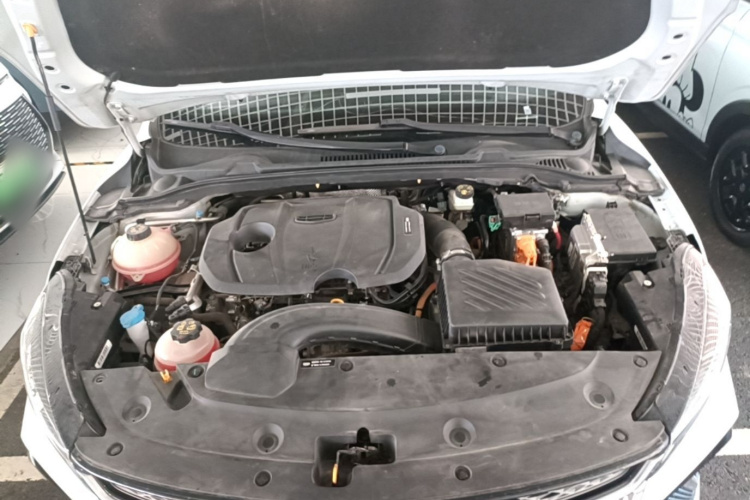 GEELY Emgrand L HiP 2022 imagen de coche #20