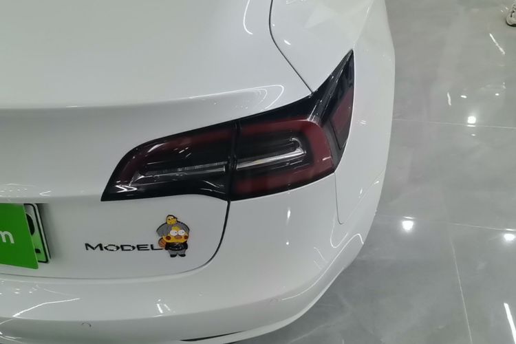Tesla Model 3 2020 car image #8