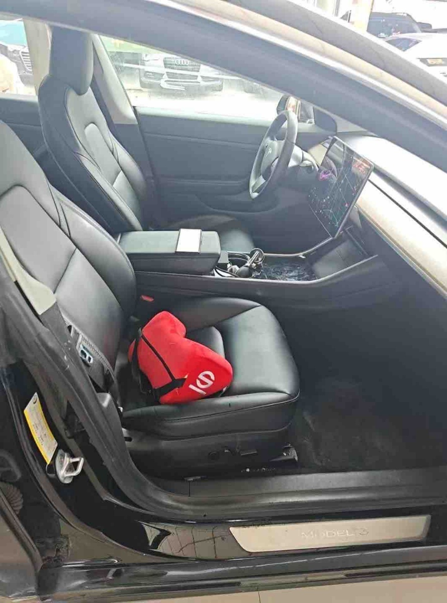 Tesla Model 3 2020 #3 Tesla Model 3 2020 car image #3