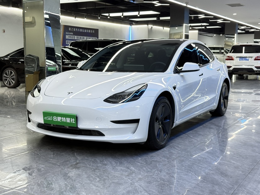 Tesla Model 3 2022 #3 Tesla Model 3 2022 immagine di auto #3