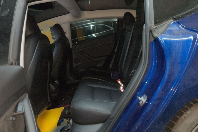 Tesla Model 3 2021 car image #19