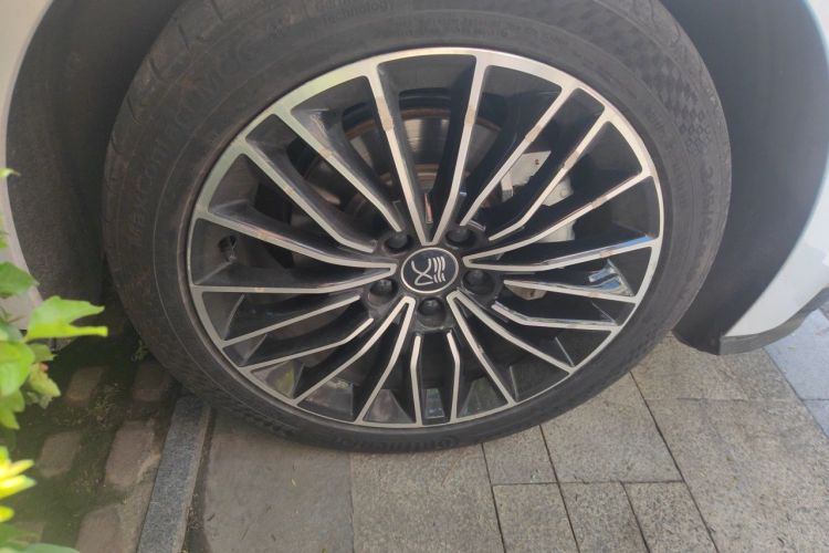 BYD Han 2021 #9 BYD Han 2021 imagen de coche #9