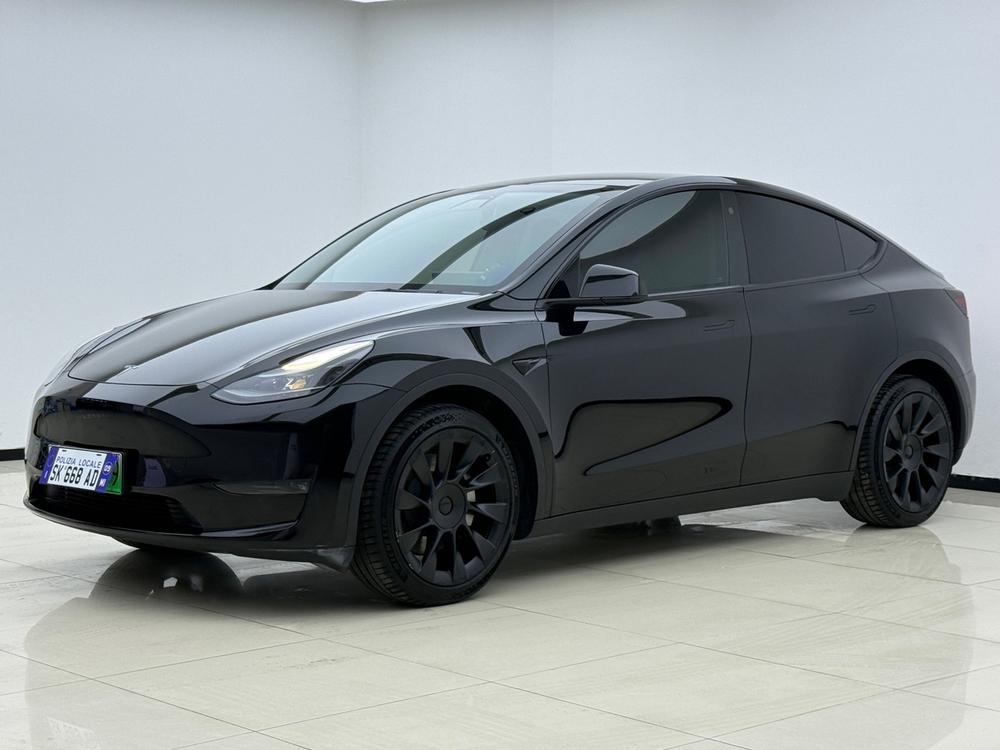 Tesla Model Y 2021 Tesla Model Y 2021 car image