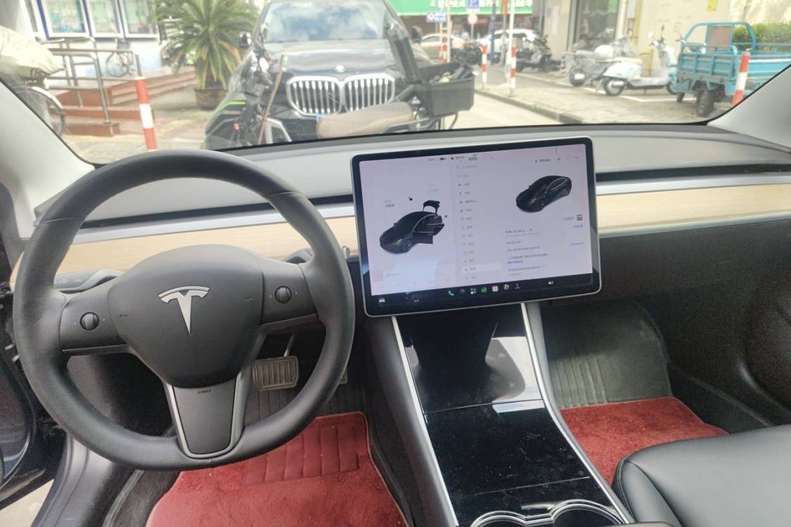 Tesla Model 3 2020 car image #21