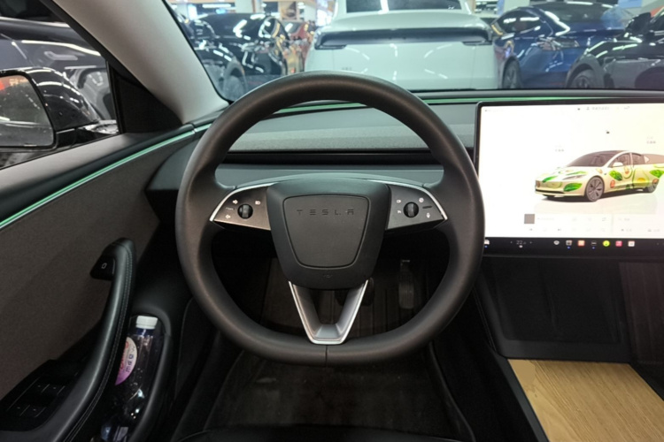 Tesla Model 3 2024 car image #11