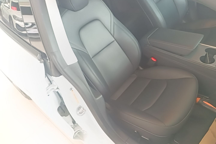 Tesla Model 3 2023 car image #24