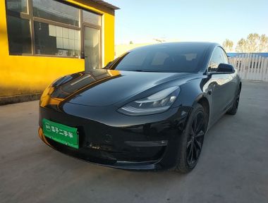 Tesla Model 3 2020 Tesla Model 3 2020 immagine di auto