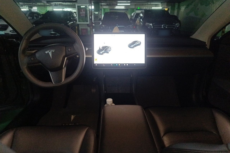 Tesla Model 3 2020 car image #7