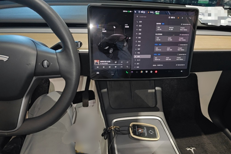 Tesla Model Y 2023 #10 Tesla Model Y 2023 car image #10