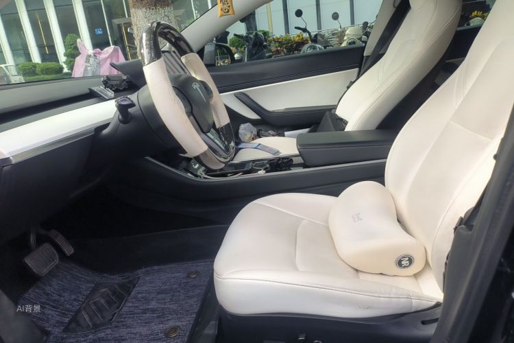 Tesla Model 3 2020 car image #17