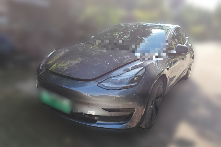 Tesla Model 3 2021 #2 Tesla Model 3 2021 car image #2