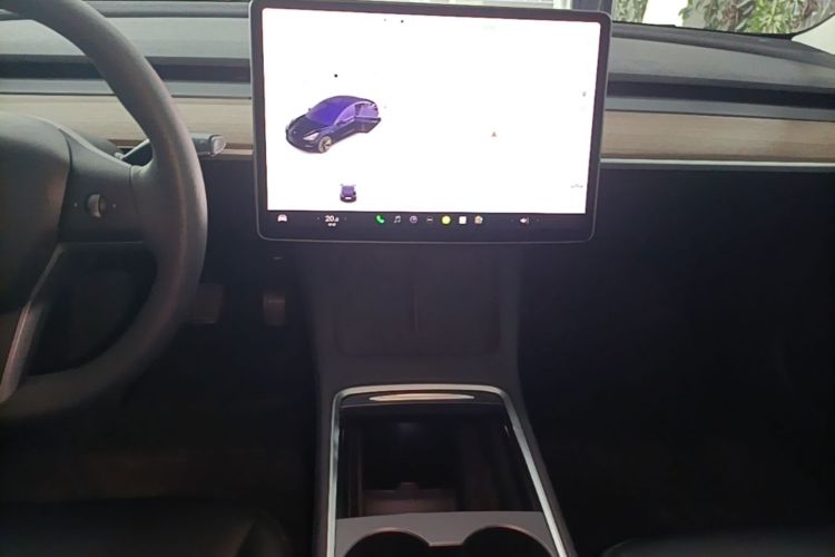 Tesla Model 3 2021 car image #13