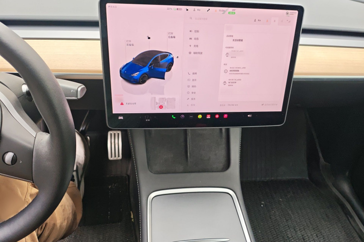 Tesla Model Y 2021 #17 Tesla Model Y 2021 car image #17
