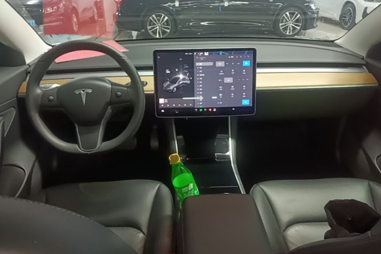Tesla Model 3 2020 #8 Tesla Model 3 2020 car image #8