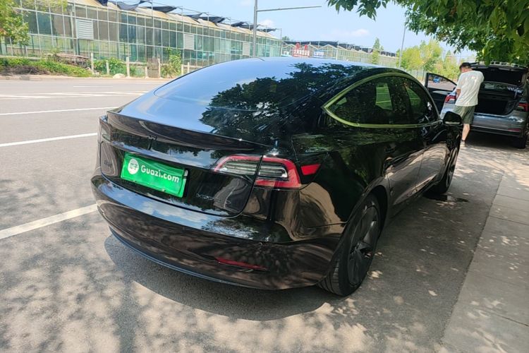 Tesla Model 3 2020 #5 Tesla Model 3 2020 car image #5