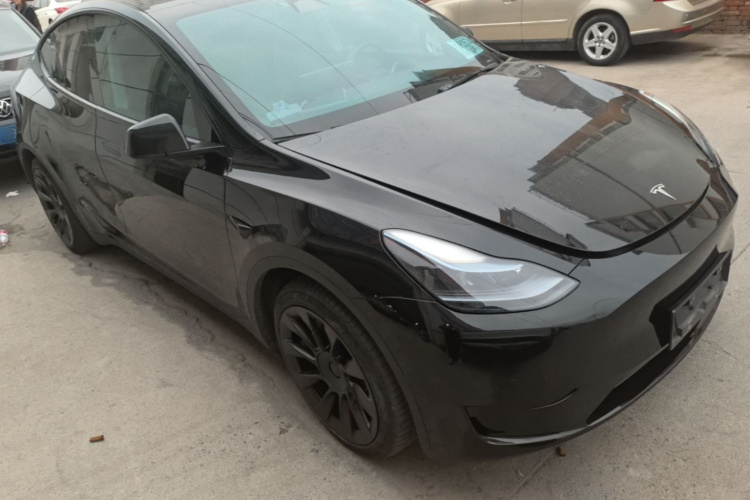 Tesla Model Y 2023 #4 Tesla Model Y 2023 صورة سيارة #4