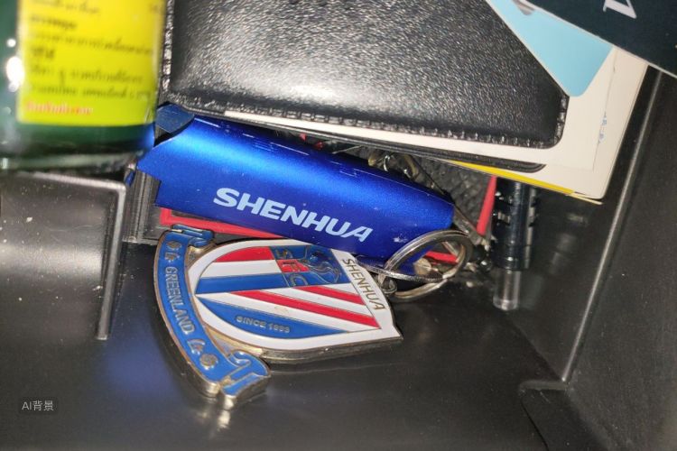 BYD Yuan Plus 2023 car image #10