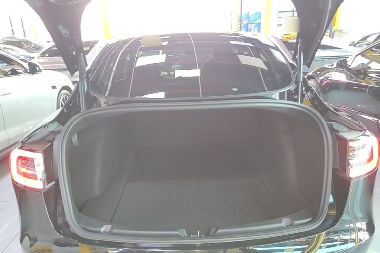Tesla Model 3 2021 #21 Tesla Model 3 2021 imagem de carro #21