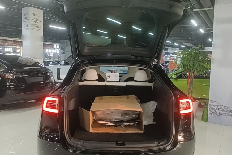 Tesla Model Y 2023 car image #19