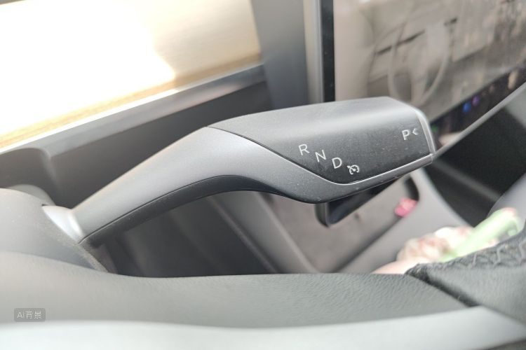Tesla Model Y 2021 car image #16