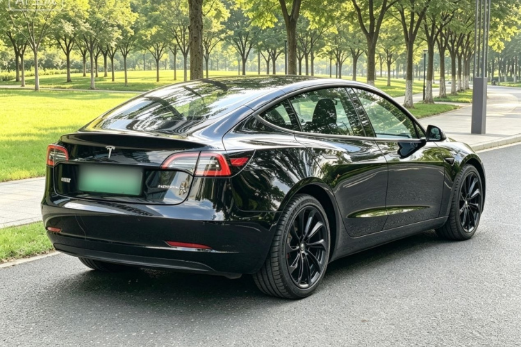 Tesla Model 3 2022 #7 Tesla Model 3 2022 car image #7