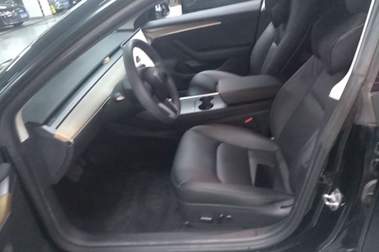 Tesla Model 3 2021 car image #15