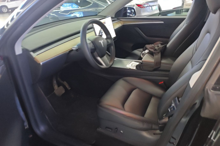 Tesla Model Y 2021 car image #15