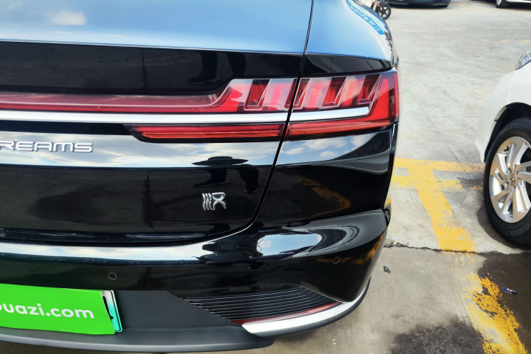 BYD Han 2022 #8 BYD Han 2022 immagine di auto #8