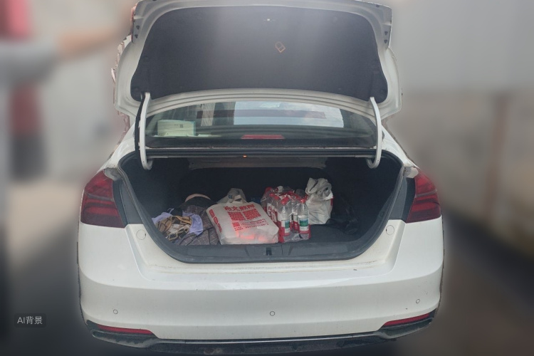 GEELY Emgrand 2020 car image #21
