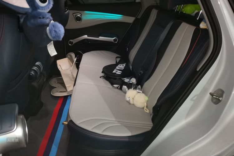 BYD Yuan Plus 2023 car image #19