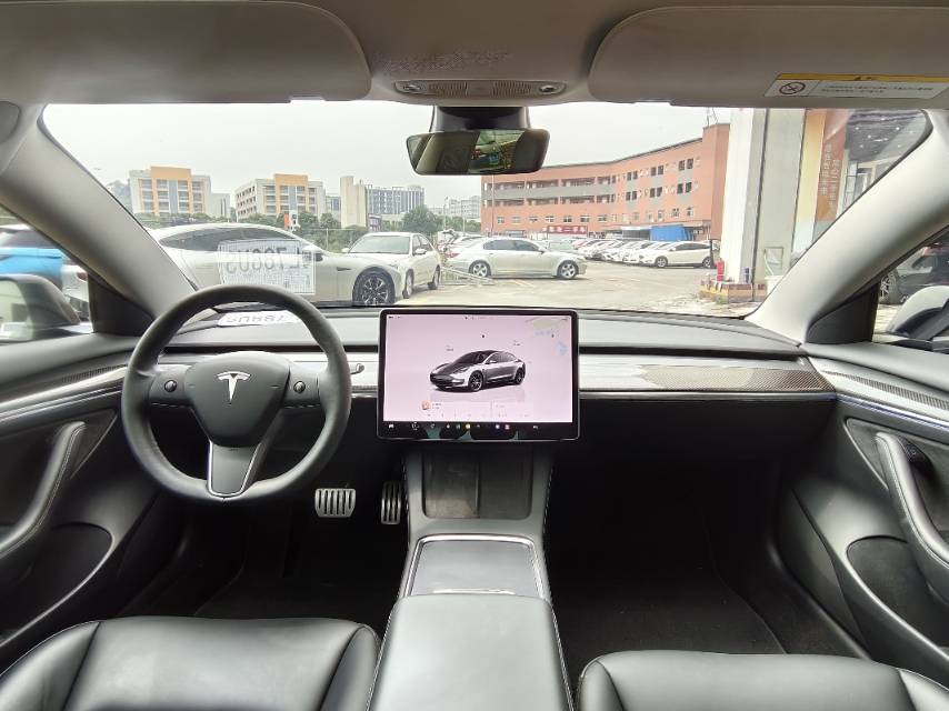 Tesla Model 3 2021 car image #10